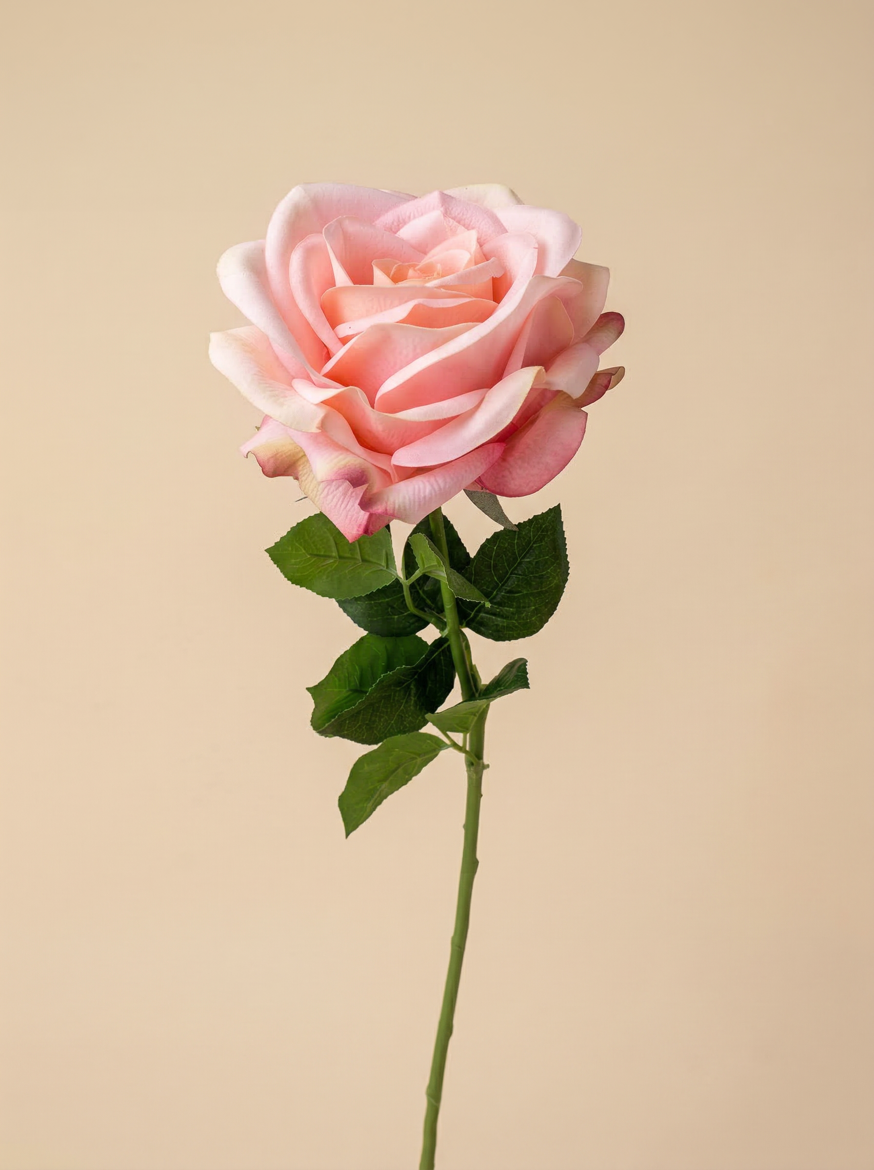 Real Touch Velvet Pink Rose