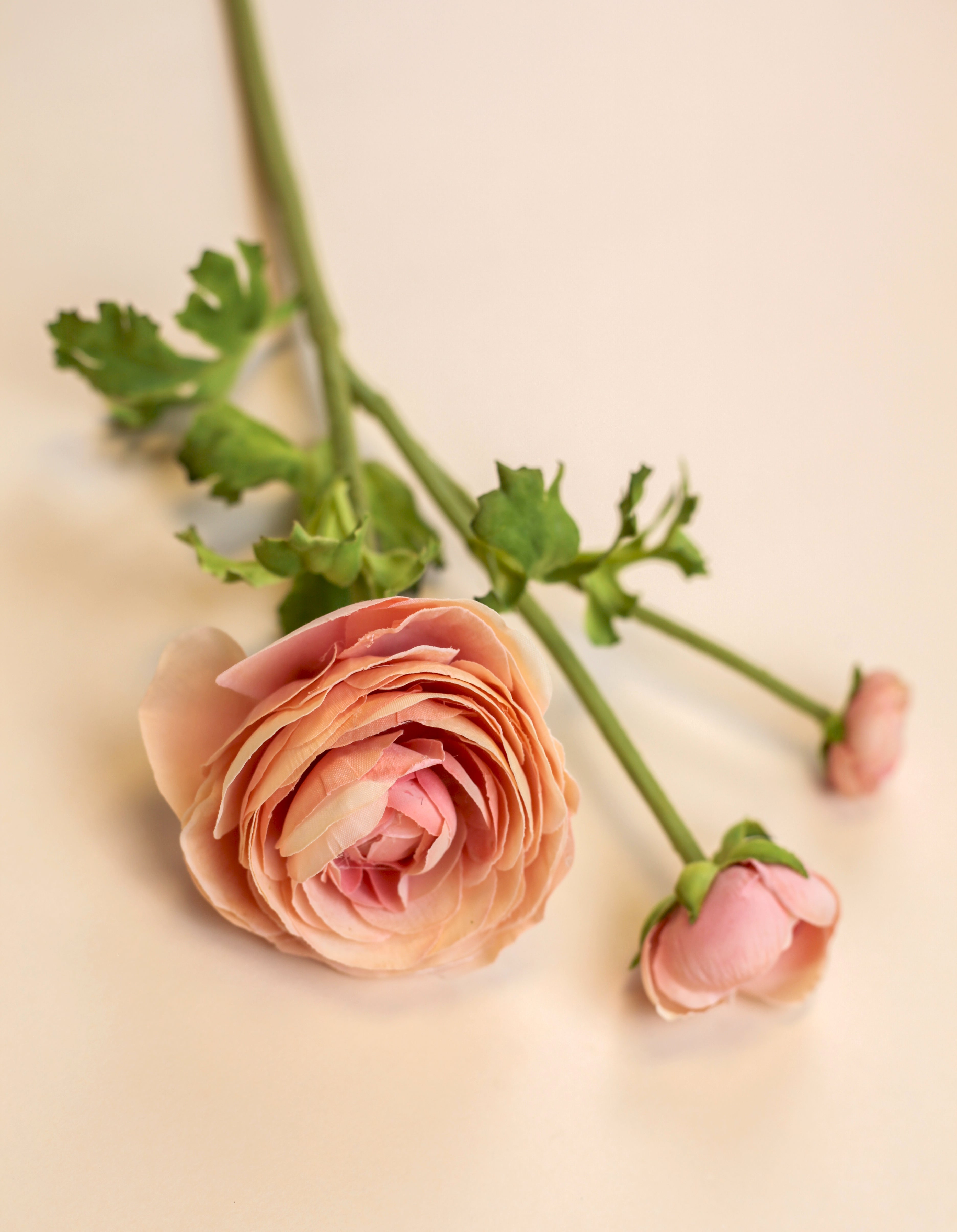 Real Touch Ranunculus - Peach